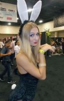 2013eXXXotica͵´չʼ